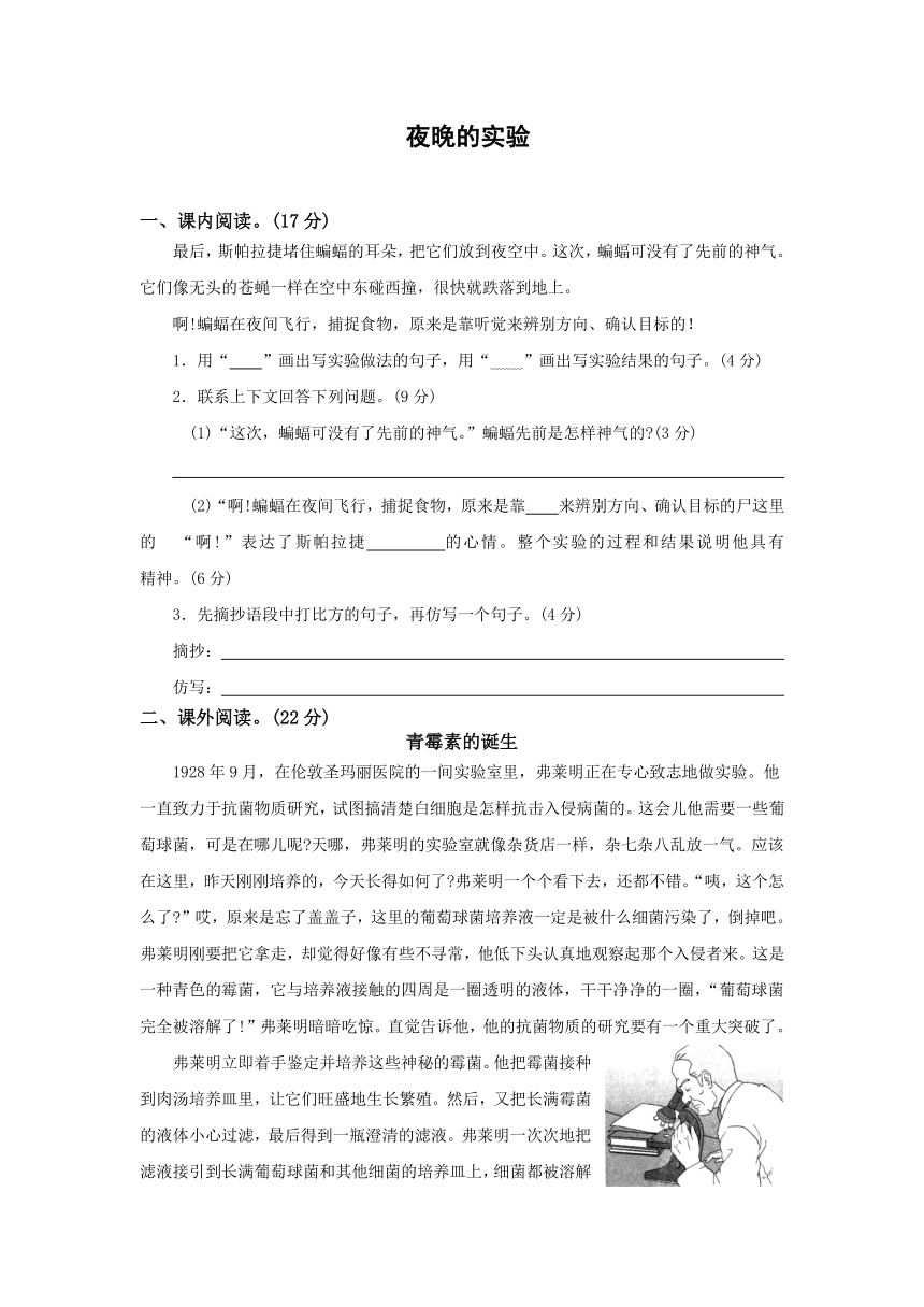 12.夜晚的实验  同步阅读训练（含答案）