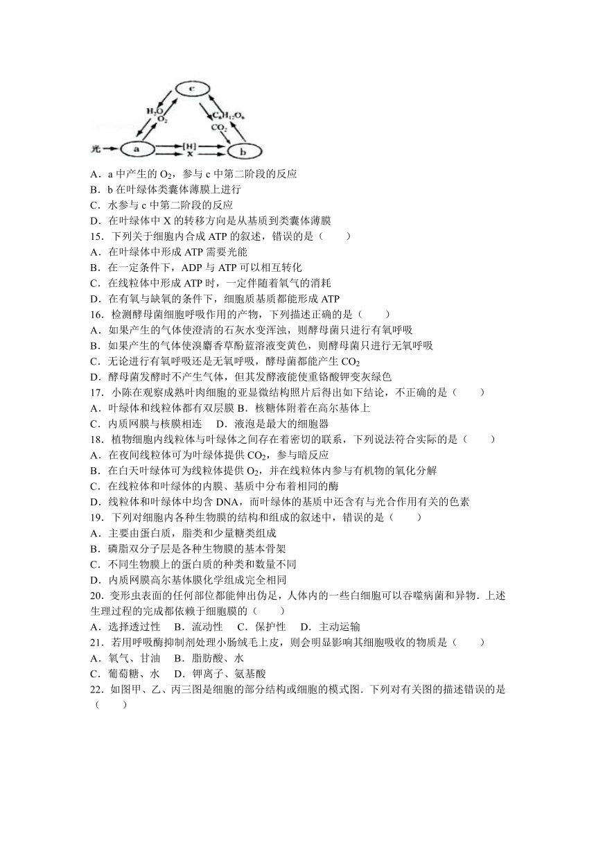 天津市北大宝坻附属实验学校2017届高三（上）第二次月考生物试卷（解析版）