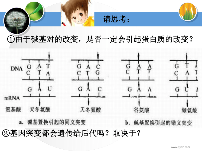 基因突变和基因重组[下学期]