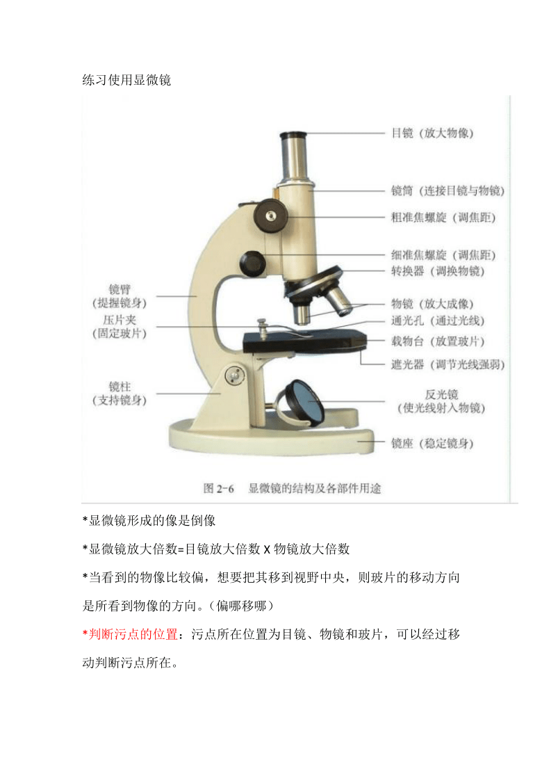 2020-2021学年北京版七年级上册知识框架