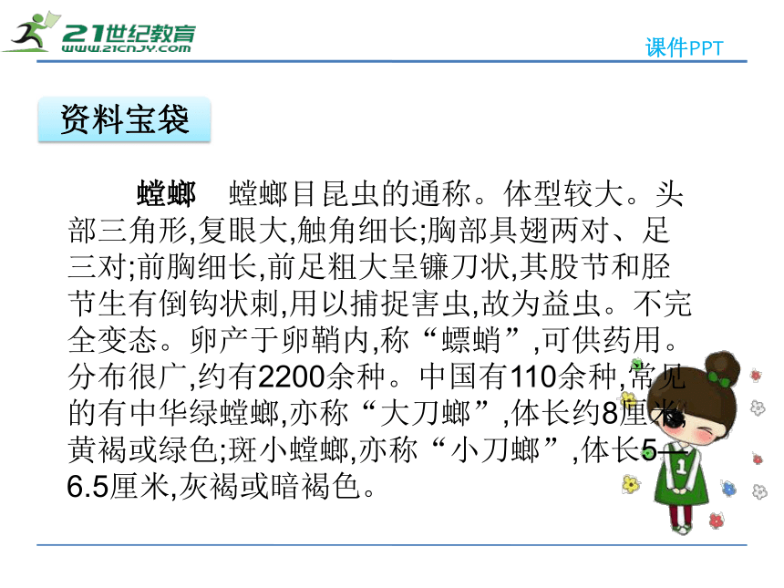 10螳螂捕蝉 课件