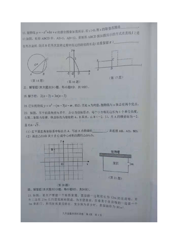 广东省恩平市2020届九年级上学期期末考试数学试题（图片版含答案）