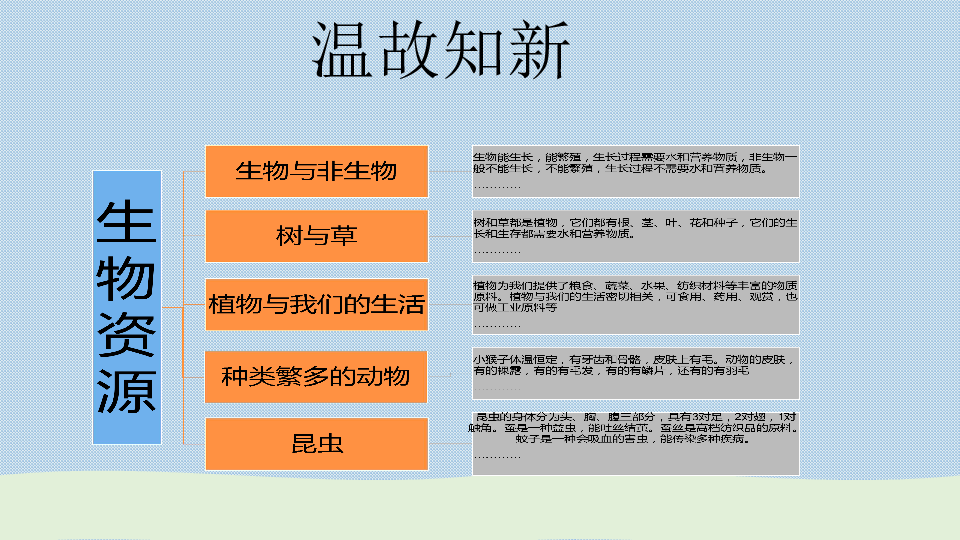 冀人版2017新版小学科学三年级下册第六课《仙人掌与莲》(共15张PPT)