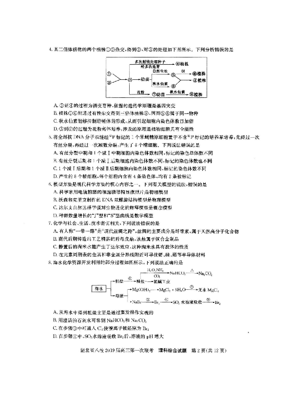2019湖北省八校第一次联考理科综合(试卷含答案).pdf