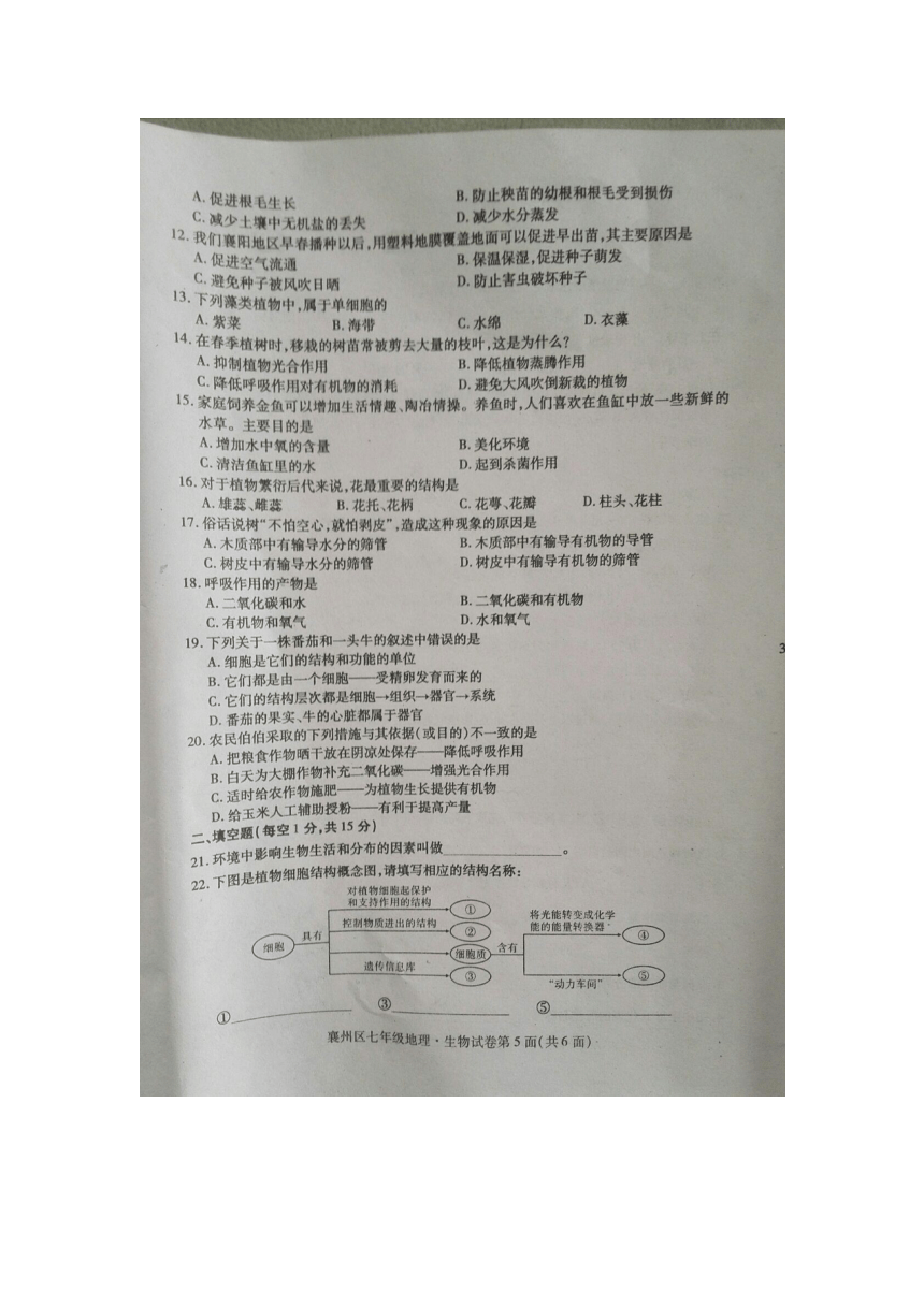 湖北省襄阳市襄州区2017—2018学年度七年级上学期期末测试生物试题（图片版，含答案）