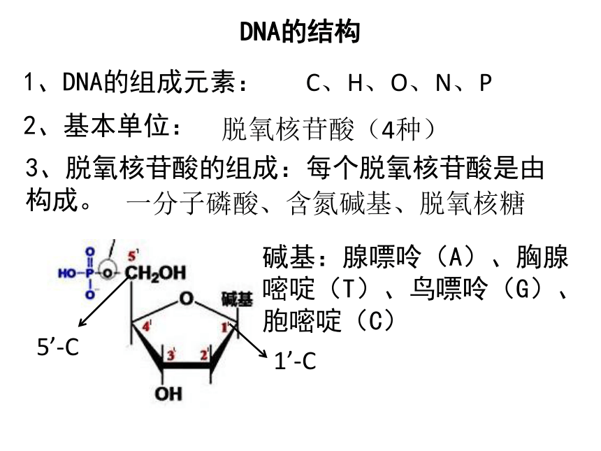 DNA双链结构图图片