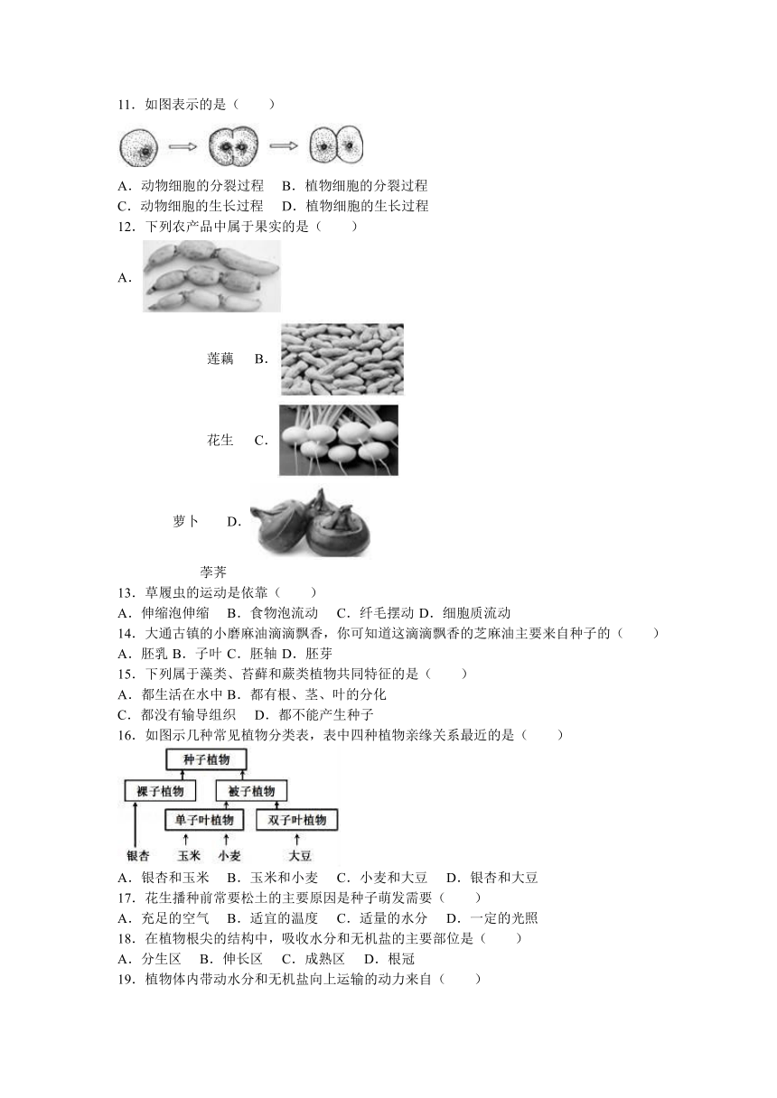 安徽省淮北市2016-2017学年七年级（上）期末生物试卷（解析版）