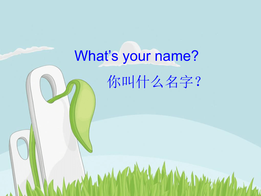 Unit 2 What’s your name? 课件