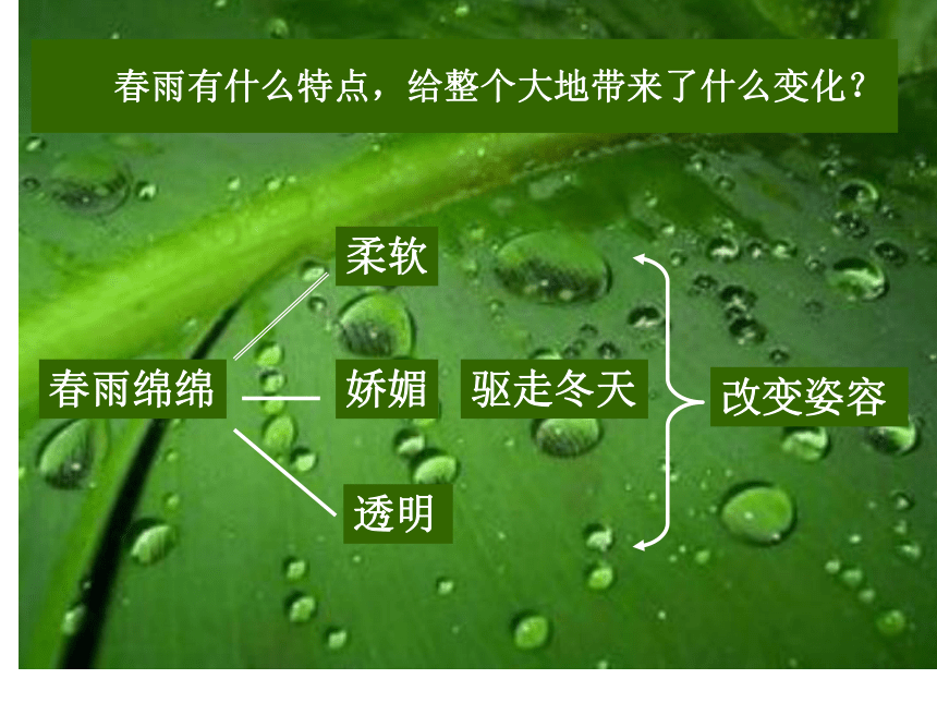 3*《 雨的四季》课件(共18张PPT)