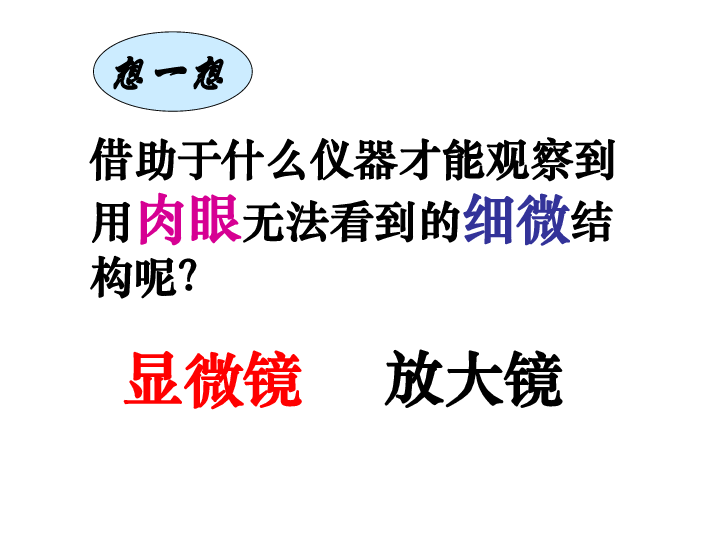 人教版七上第二单元第一章第一节 练习使用显微镜课件（共87张PPT）