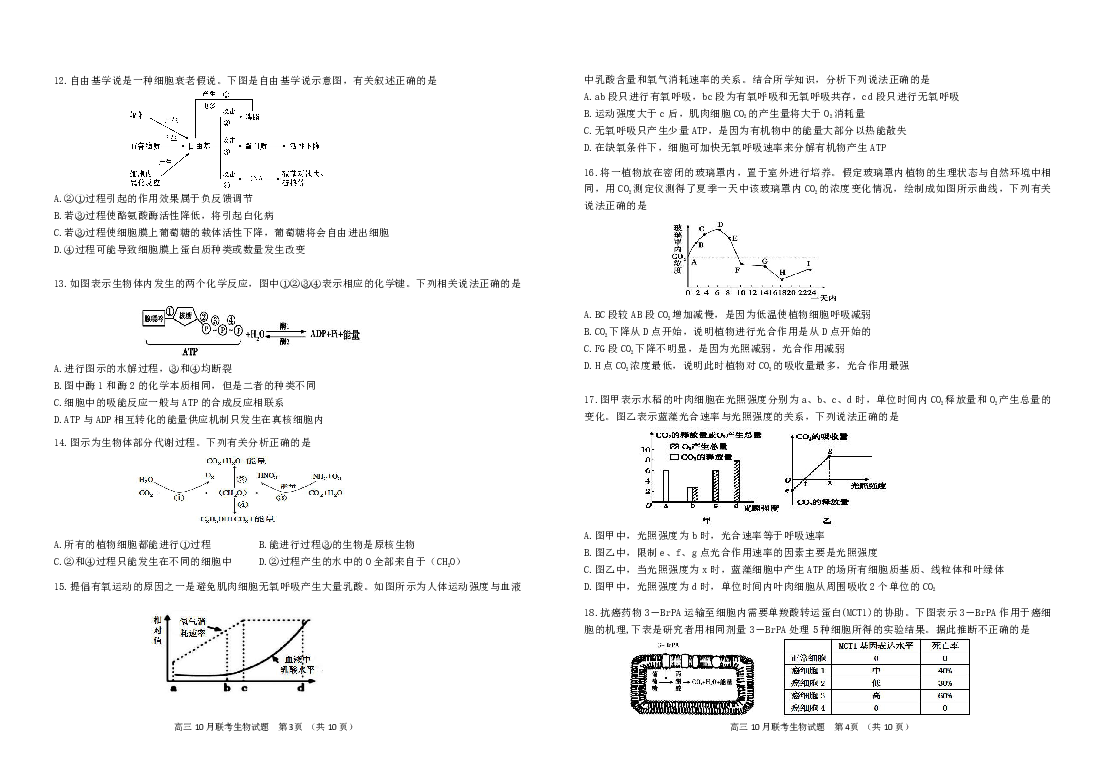 湖北省“荆、荆、襄、宜四地七校考试联盟”2019届高三上学期10月联考试题 生物