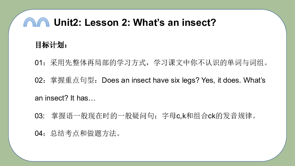 Unit2(lesson2) What's an insect 课件(共31张PPT)
