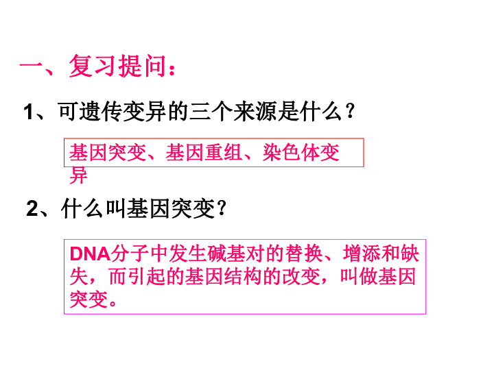 冀教版八下生物 6.2.3遗传病与优生 课件(42张PPT)