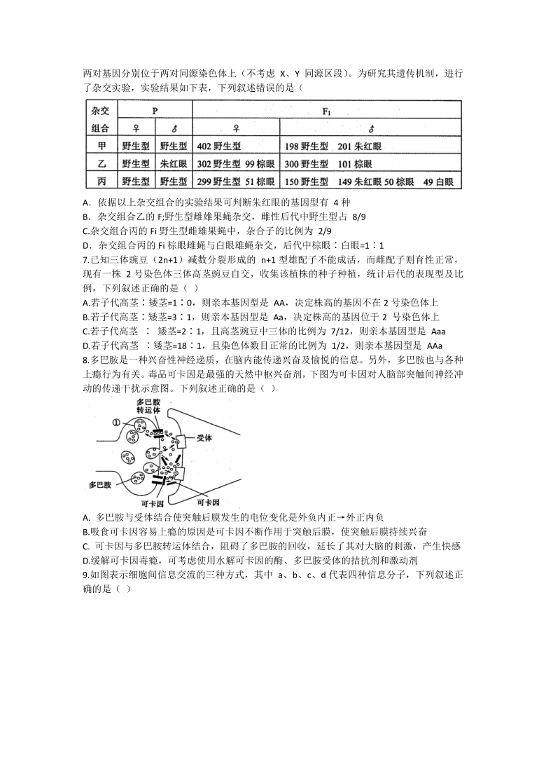 山东省济南市市中区实验高中2021届高三下学期4月第一次模拟考试（一模）生物试题     含答案