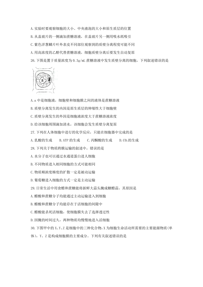 2017-2018学年度四川省成都市上期期末高一年级调研考试生物试题