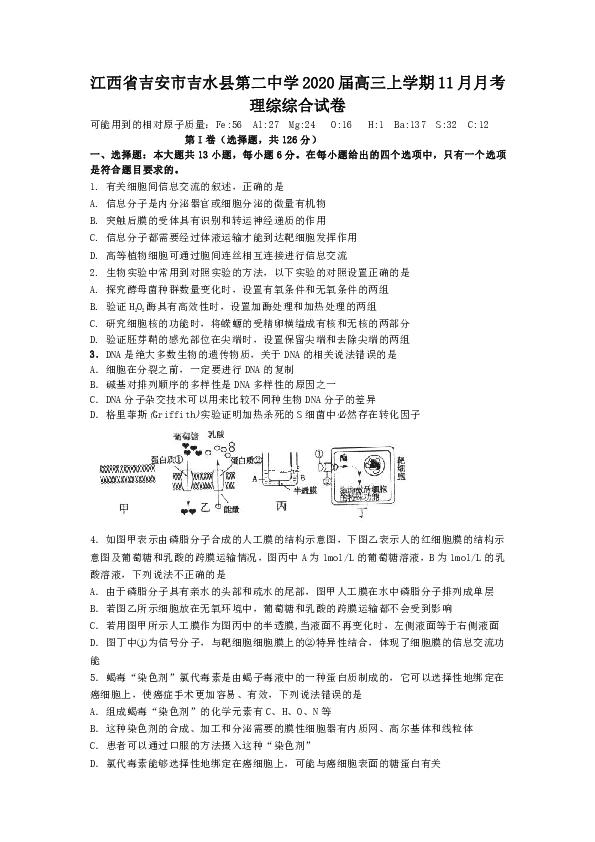 江西省吉安市吉水县第二中学2020届高三上学期11月月考理综试卷 Word版（缺物理答案）