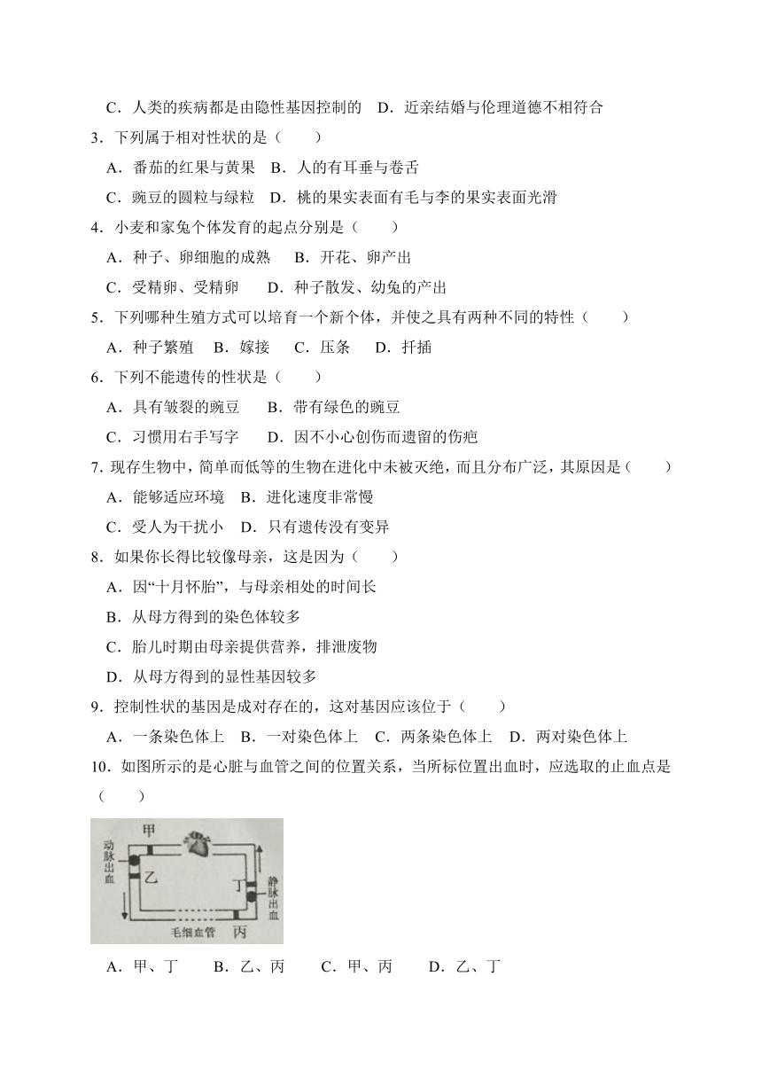 河南省漯河市郾城区2016-2017学年八年级下学期期末教学质量检测生物试题（WORD版）