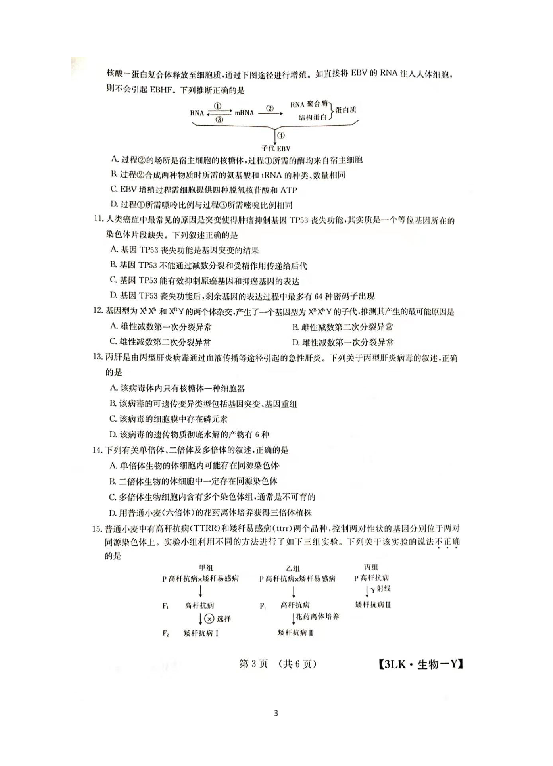 湖南省邵阳县德望中学2020届高三第三次月考生物试题（扫描版）