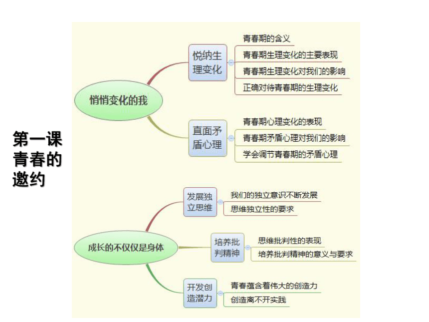 七下第一单元青春时光复习 课件(共47张PPT)