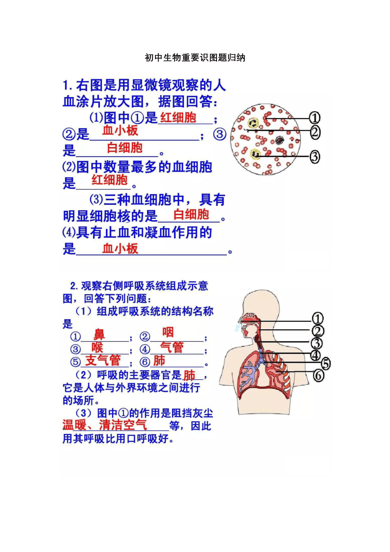 初中生物必考图高清图片