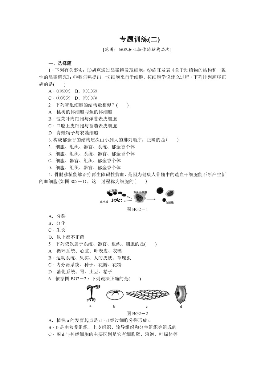 专题训练(二)细胞和生物体的结构层次