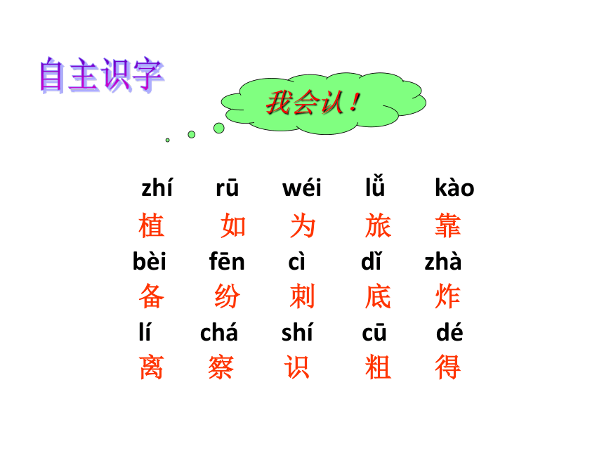 植物妈妈有办法  课件 (共17张PPT)