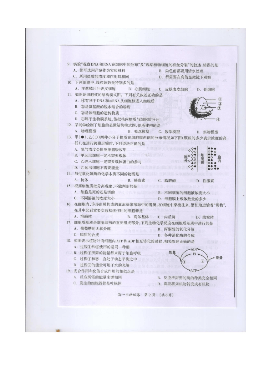 广西桂林市2017-2018学年高一上学期期末考试生物试题 扫描版含答案