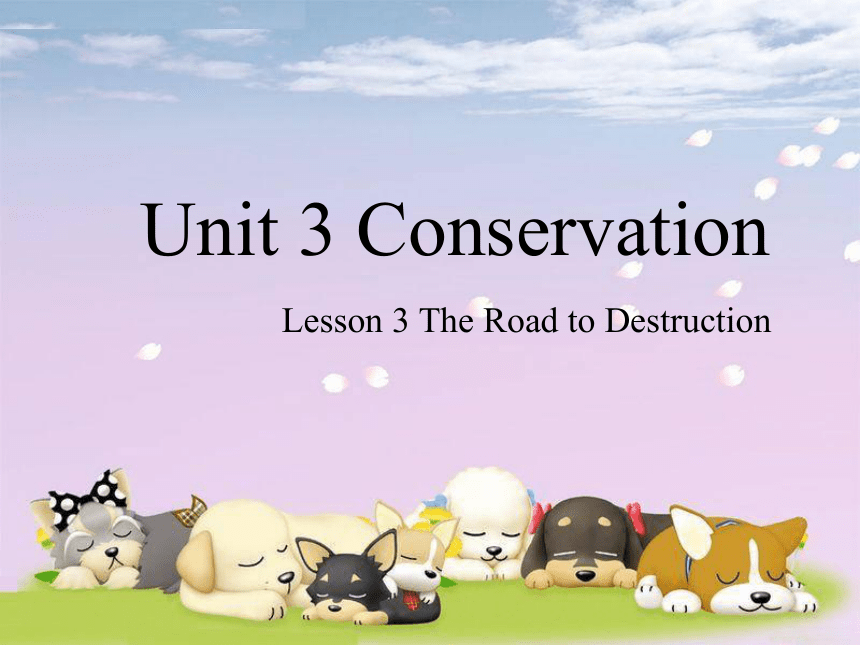 北师大版（2019）>必修 第一册>Unit 3 Celebrations Conservation课件（58张ppt）
