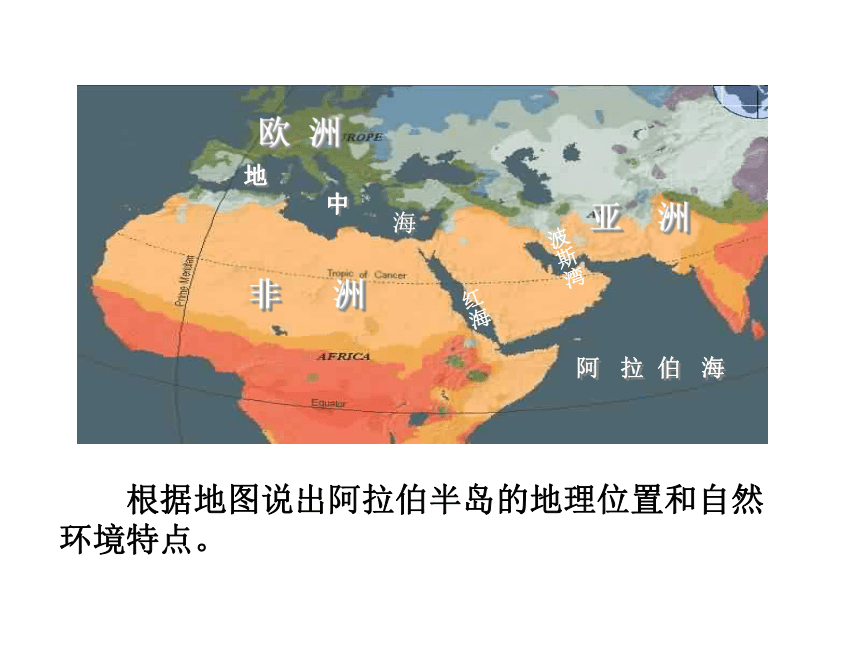 阿拉伯帝国与伊斯兰文明 课件