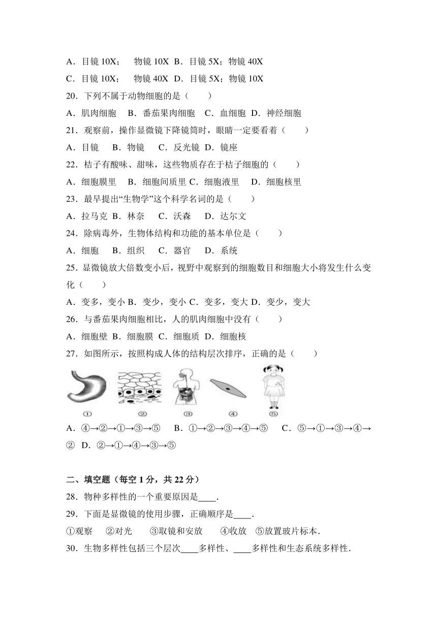 福建省南平市邵武七中2016-2017学年七年级（上）期中生物试卷（解析版）