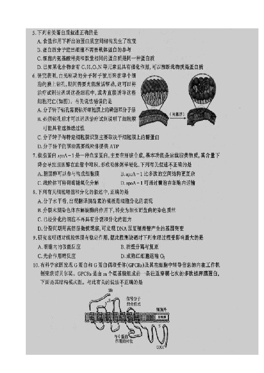 山西省太原市2019届高三上学期期末考试生物试题 扫描版