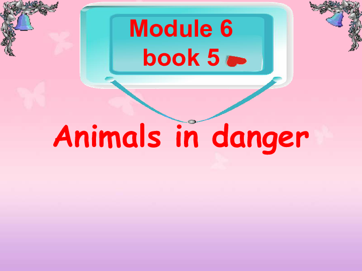 外研版必修五Module 6 Animals in Danger Reading and vocabulary课件（28张）