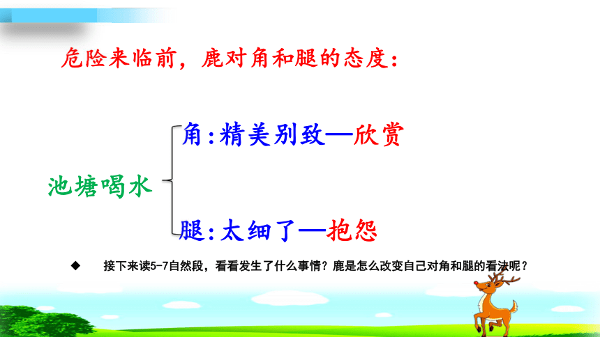 7鹿角和鹿腿第二课时课件共24张ppt