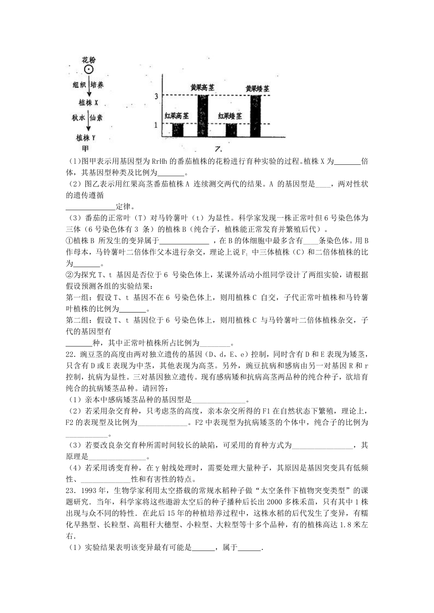 2015－2016学年高考生物复习同步单元练：人教版必修二 第六章《从杂交育种到基因工程》