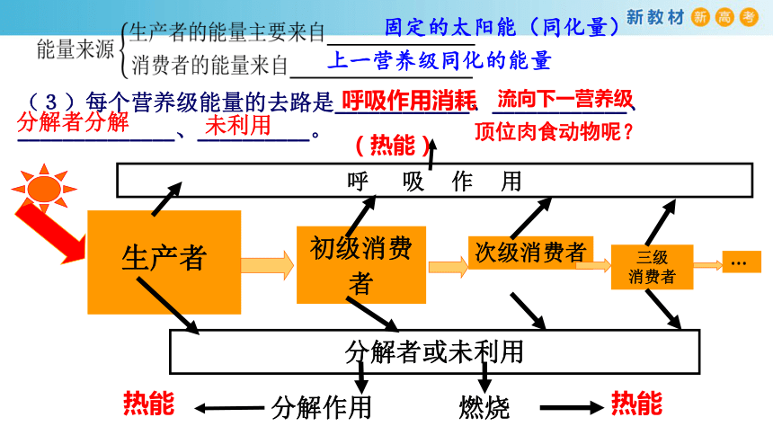 高中生物選擇性必修233生態系統中的能量單向遞減流動1課件29張ppt