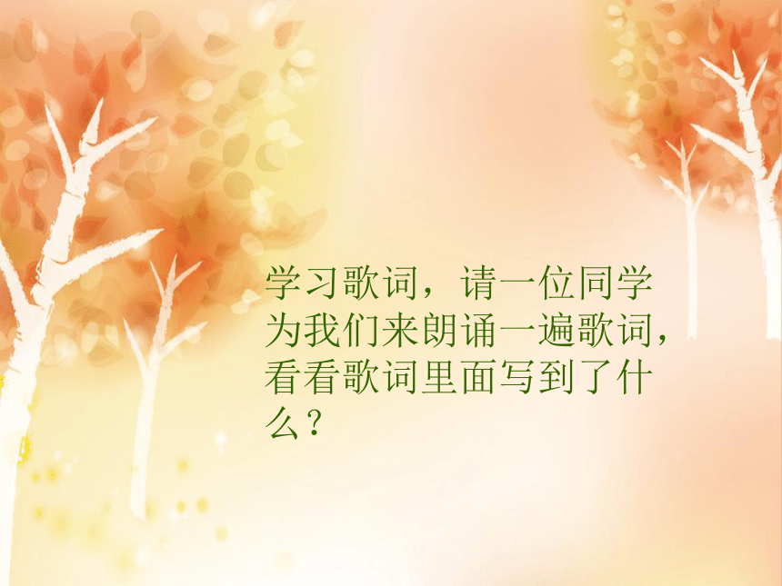 《卡农歌》课件