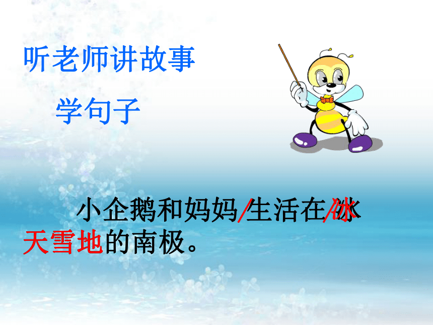 二年级语文上册课件 小企鹅和妈妈（北京版）