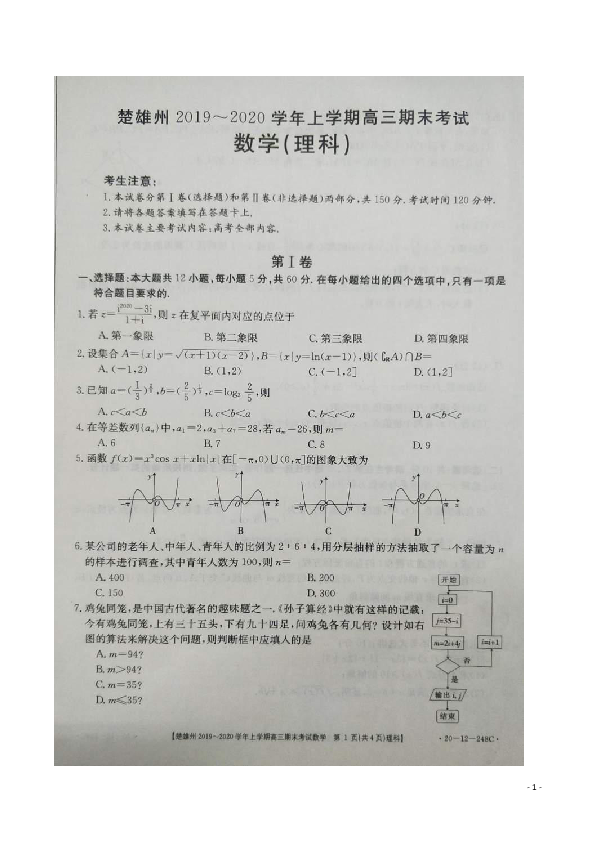 云南省楚雄州2020届高三上学期期末考试数学（理）试题 扫描版