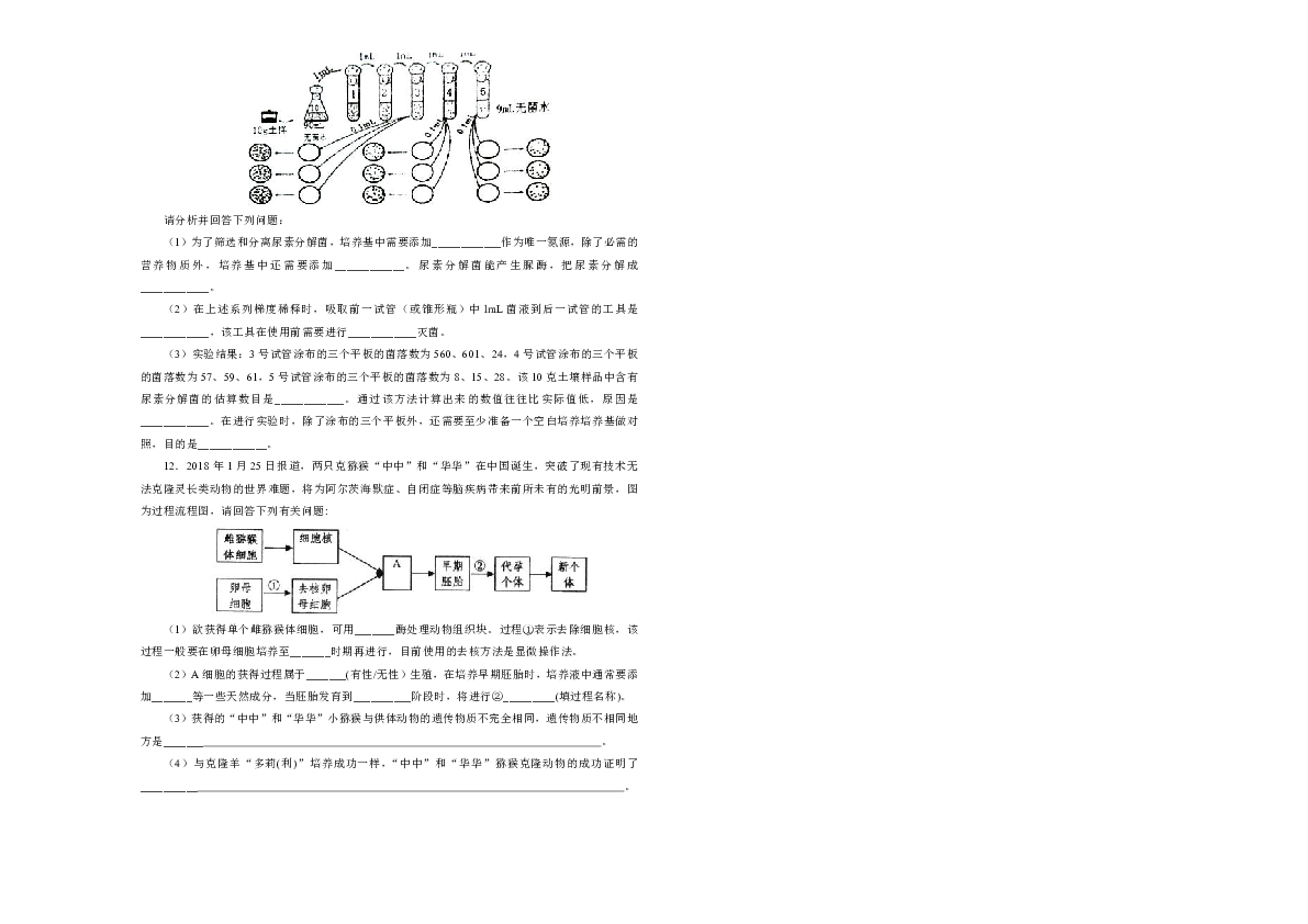 2019届高三第二次模拟考试卷 生物（四）