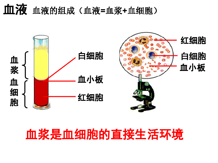 高中生物人教版必修三第一张第1节细胞生活的环境（35张PPT）