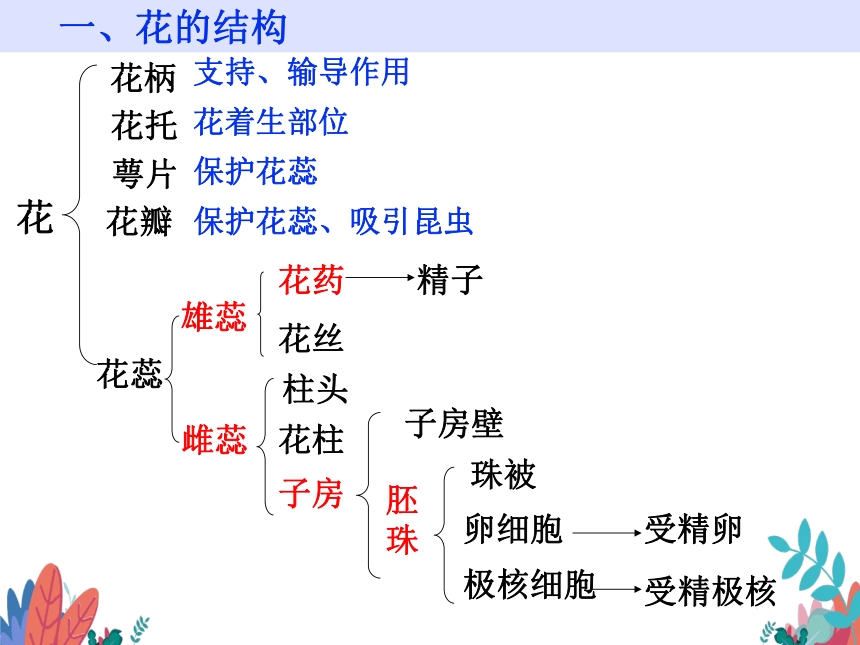 3开花和结果课件(59张ppt)2022-2023学年人教版七年级上册生物-21世纪