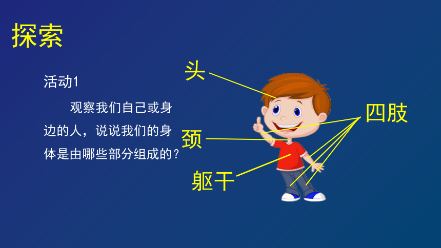 21观察我们的身体课件19张ppt