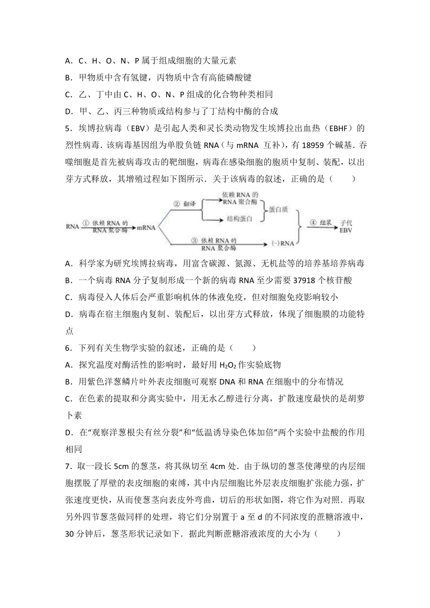 【解析】陕西省延安市黄陵中学2017届高三上学期期末生物试卷（普通班） Word版含解析