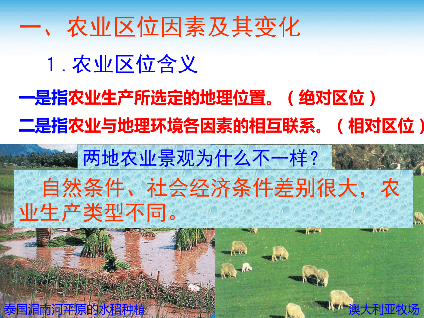 农业的区位选择(共46张PPT)