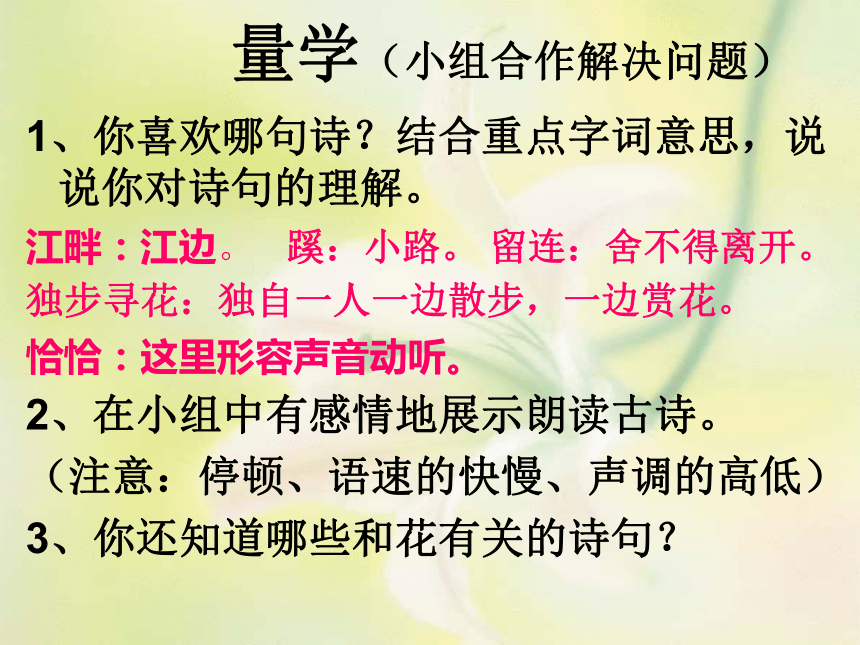 语文五年级下鄂教版2《江畔独步寻花》教学课件