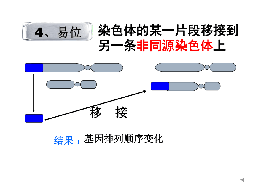 高中生物人教版必修二第五章第2节 染色体变异 课件（66张PPT）