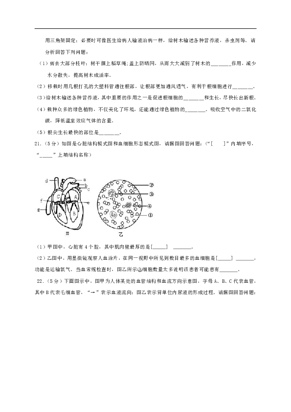 甘肃省定西市陇西县2019-2020学年七年级下学期期末考试生物试题（word版含答案）