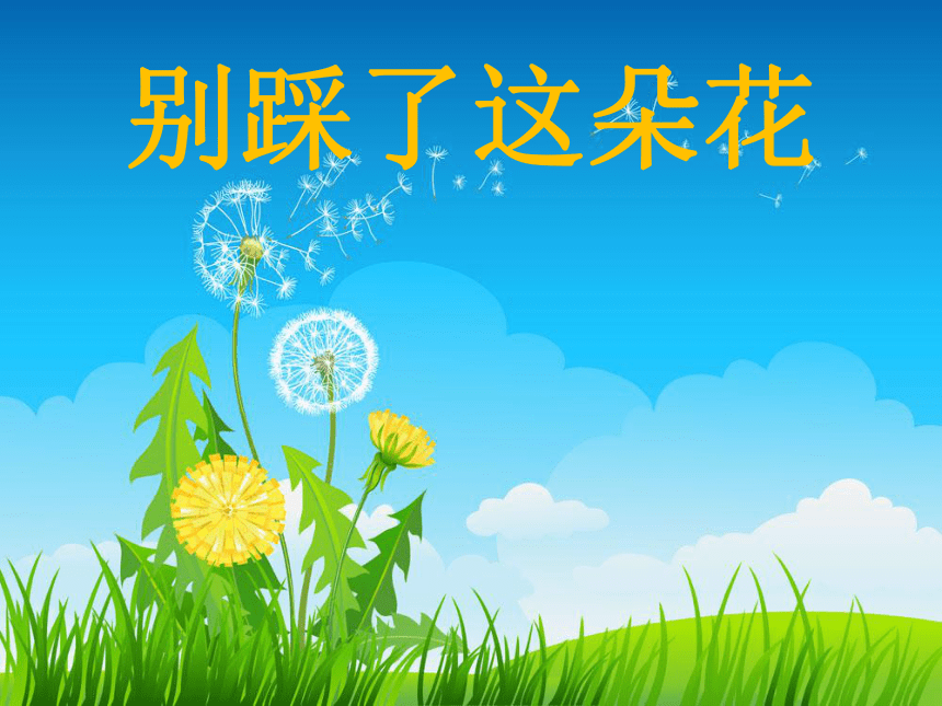 《别踩了这朵花》课件(共22张PPT)