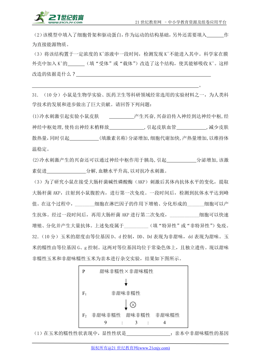 2017—2018学年度人教版新课标高三年级第11月月考生物试卷（含答案）