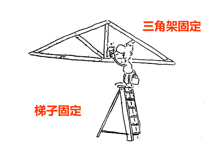 三角形的稳定性[下学期]